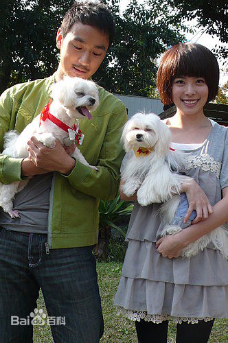 李康宜(Lee Kang-Yi)出席活动照片壁纸壁纸