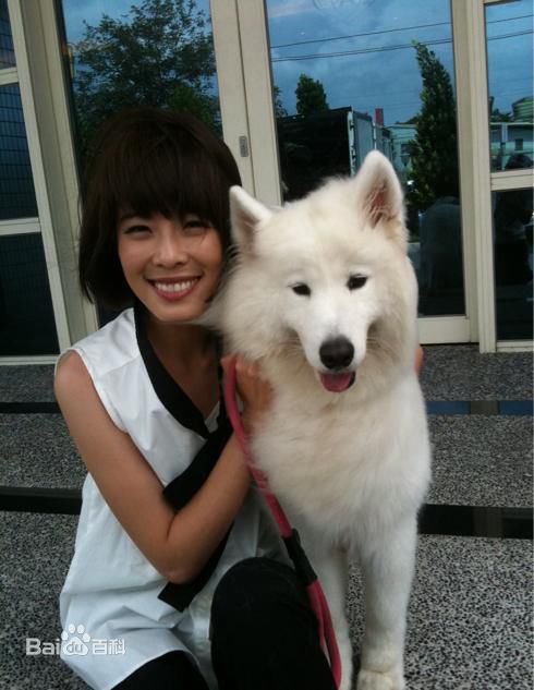 李康宜(Lee Kang-Yi)精彩图册