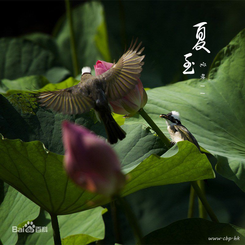 李康宜(Lee Kang-Yi)前后照片