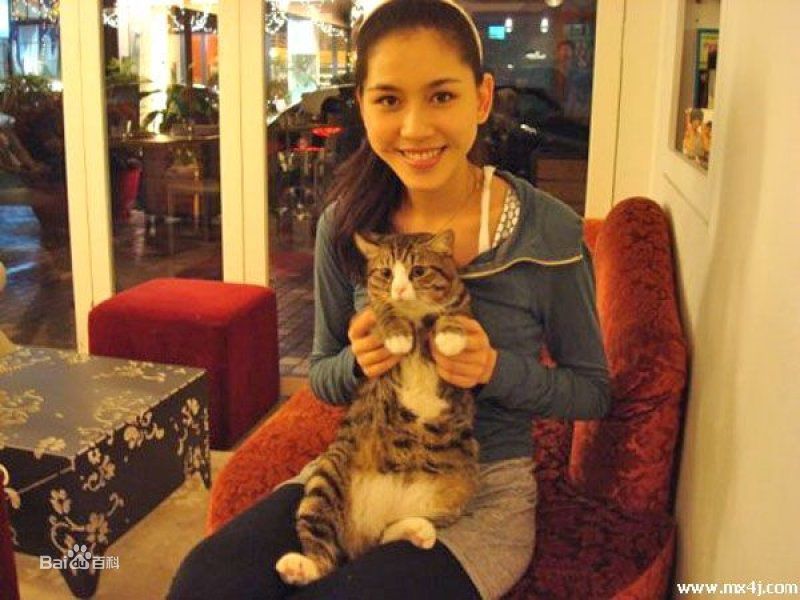 张毓晨高清活动与图集