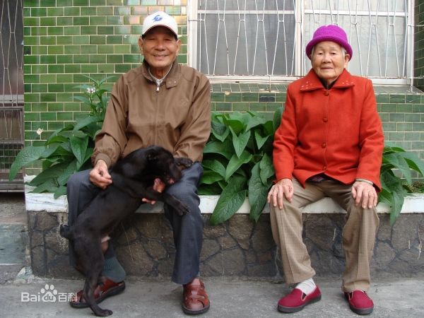 陈嘉桦(Ella、 Water（出道前）)与老公赖斯翔图册