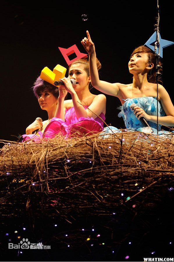 陈嘉桦(Ella、 Water（出道前）)演唱会图册