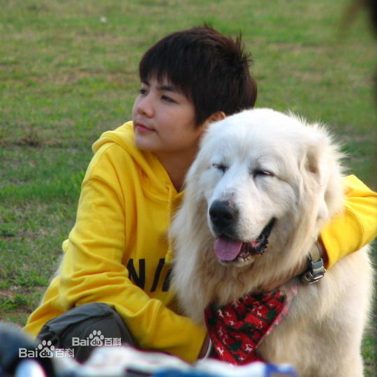 陈嘉桦(Ella、 Water（出道前）)参演的电影和电视剧性感图片壁纸