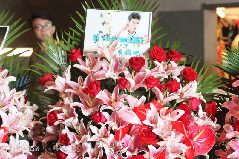 最优质汪东城(Jiro Wang)精彩图册1