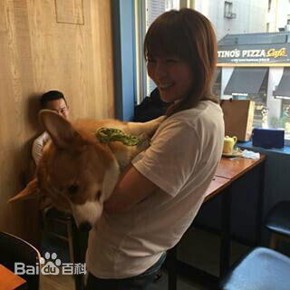 刘品言(Esther Lau)言言综合图册素颜照壁纸