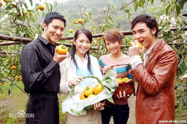 郑佳瑜电视绿光森林图册