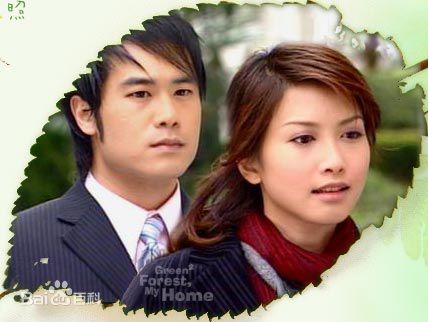 郑佳瑜电视绿光森林图册