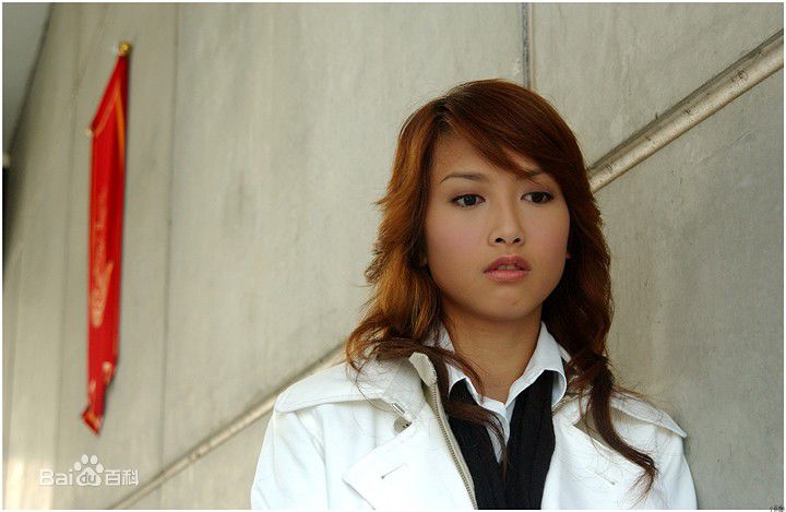 郑佳瑜电视绿光森林图册