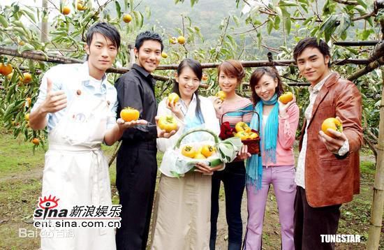 郑佳瑜电视绿光森林图册