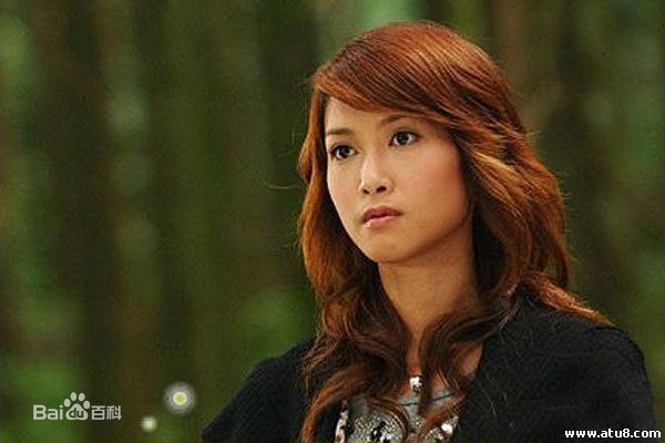 郑佳瑜电视绿光森林图册