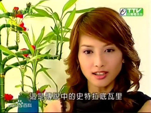 郑佳瑜宋智爱电视电影照片图册