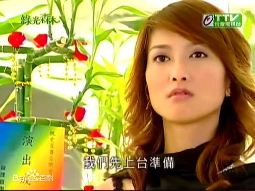 郑佳瑜宋智爱电视电影照片图册