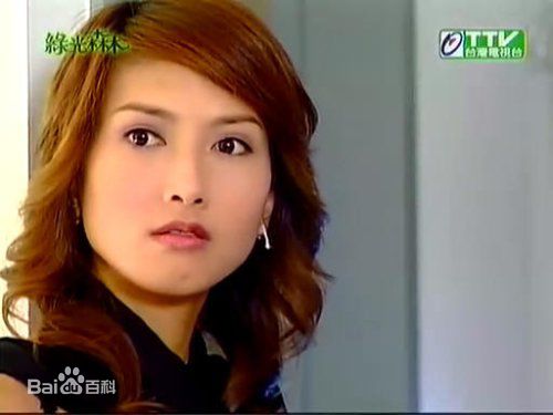 郑佳瑜宋智爱电视电影照片图册