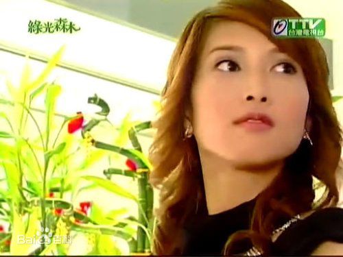 郑佳瑜宋智爱电视电影照片图册