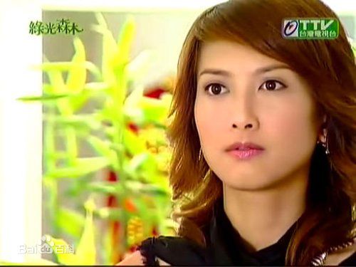 郑佳瑜宋智爱电视电影照片图册