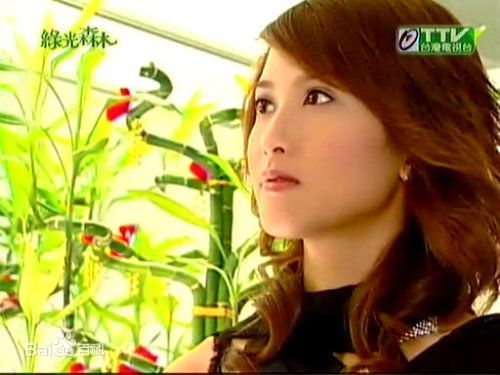 郑佳瑜宋智爱电视电影照片图册