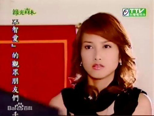 郑佳瑜宋智爱电视电影照片图册