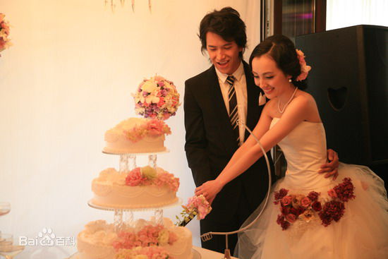 阿部力(Abe Tsuyoshi)与爱人史可图册