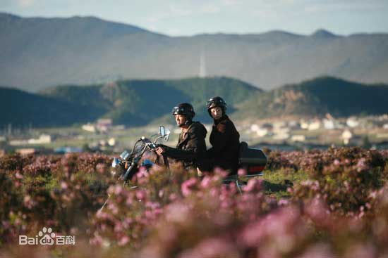 吴中天(Matt Wu)剧照