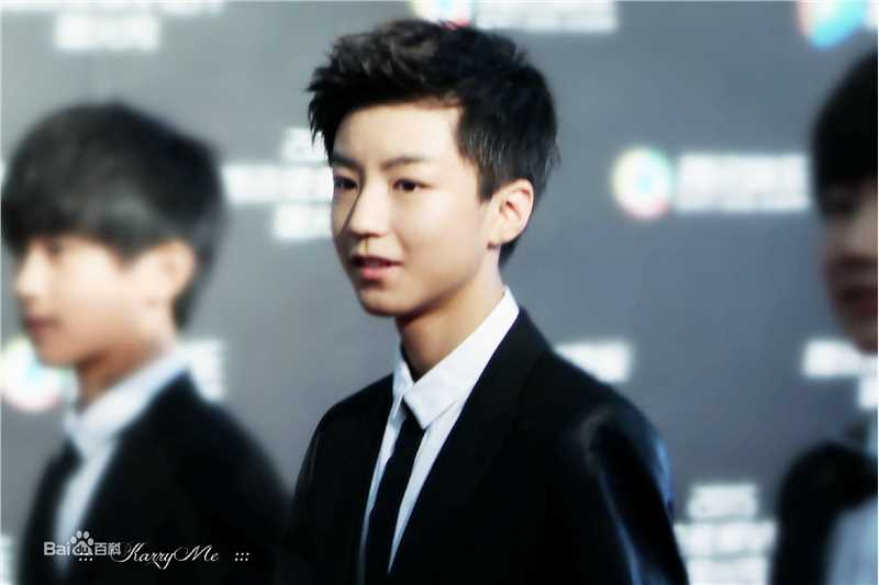 王俊凯(Karry)红毯图册（一）前后照片