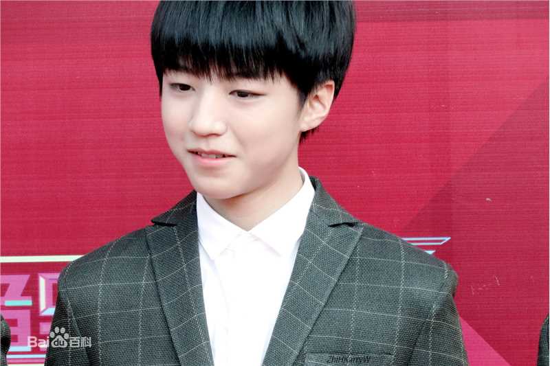 王俊凯(Karry)红毯图册（一）前后照片