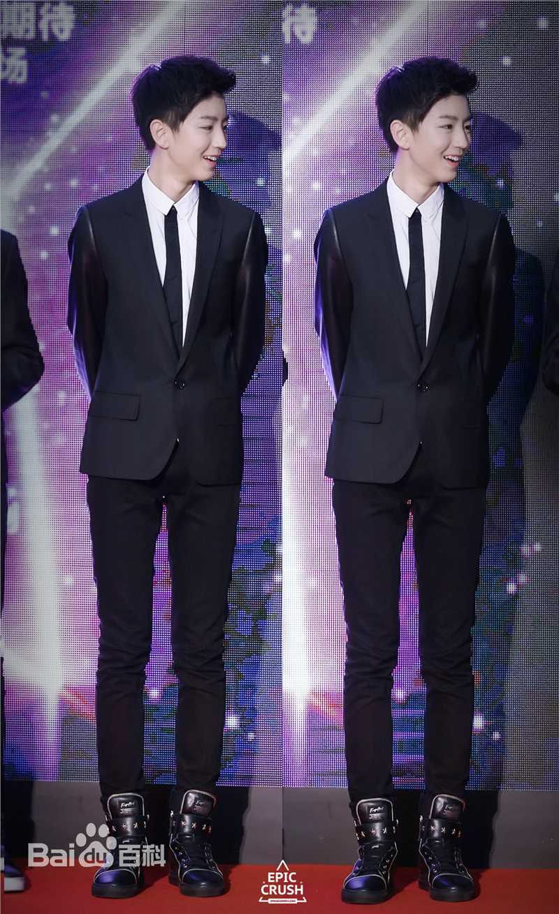 王俊凯(Karry)红毯图册（一）前后照片