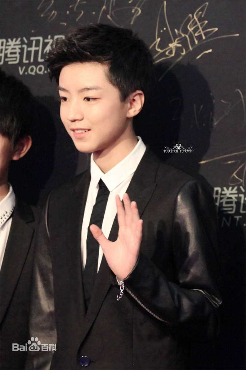 王俊凯(Karry)红毯图册（一）前后照片