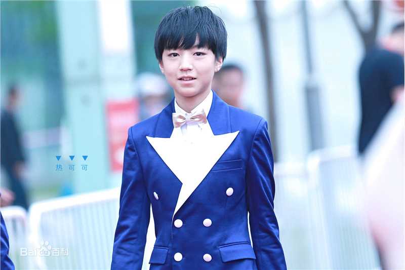 王俊凯(Karry)红毯图册（一）前后照片