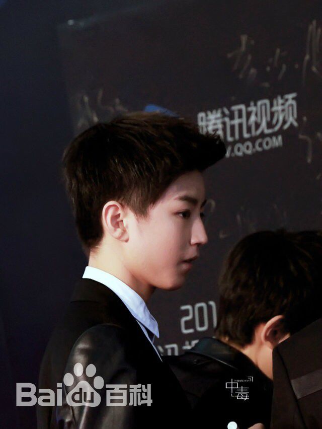 王俊凯(Karry)红毯图册（一）前后照片