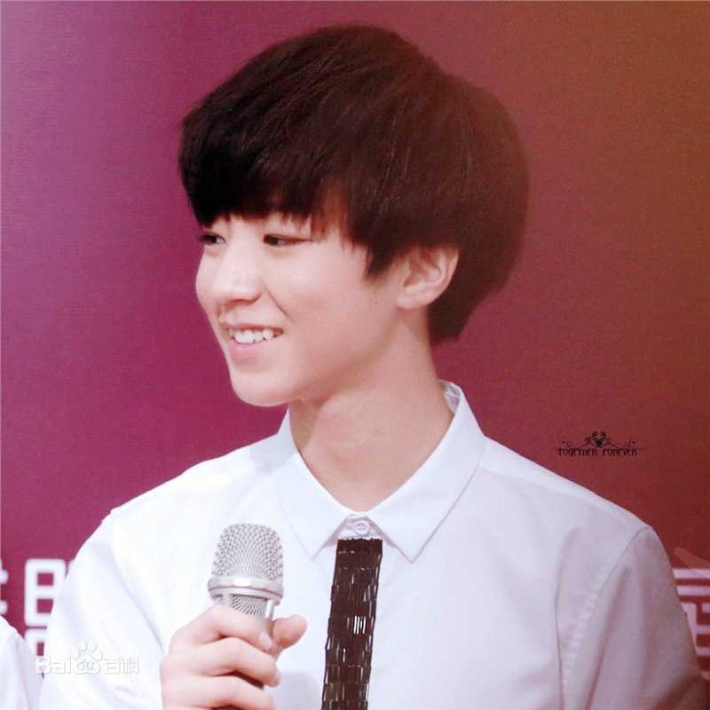 王俊凯(Karry)红毯图册（一）前后照片