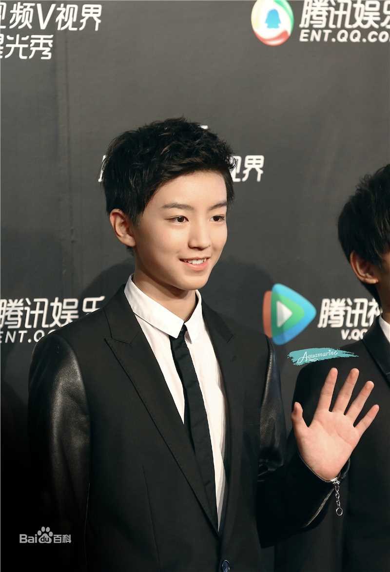 王俊凯(Karry)红毯图册（一）前后照片