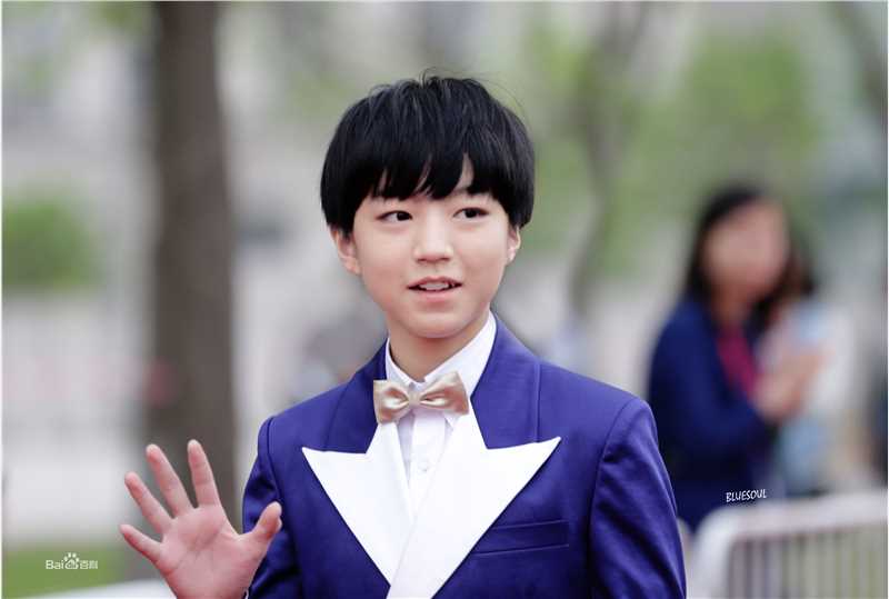 王俊凯(Karry)红毯图册（一）前后照片