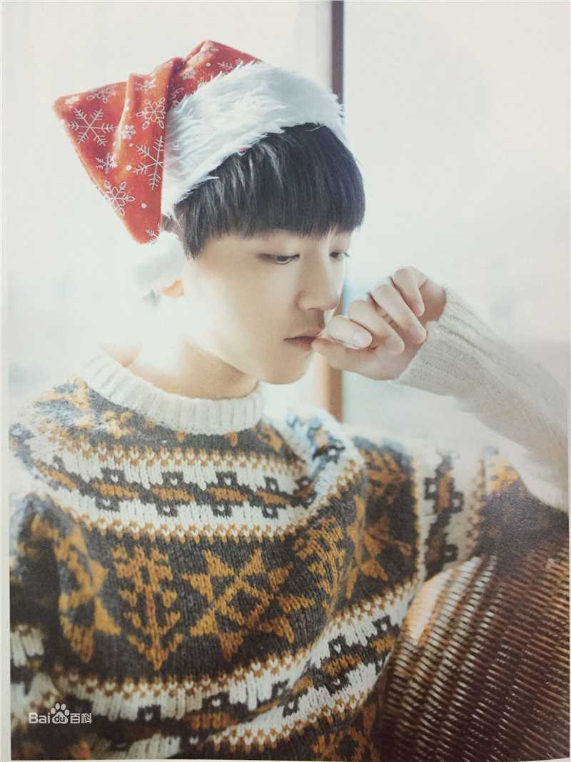 王俊凯(Karry)个人生写（二）性感图片图集