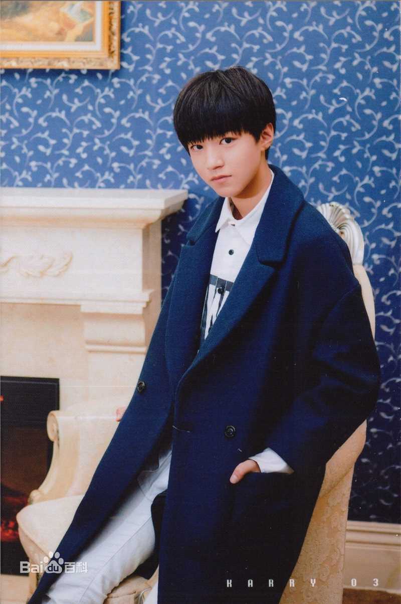 王俊凯(Karry)个人生写（二）性感图片图集