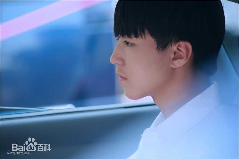 王俊凯(Karry)画报人生（一）图册