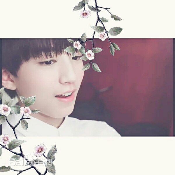 王俊凯(Karry)画报人生（一）图册