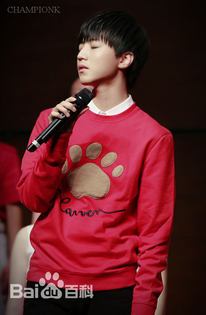 王俊凯(Karry)画报人生（一）图册