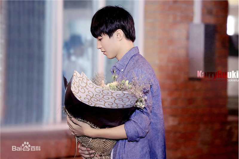 王俊凯(Karry)画报人生（一）图册