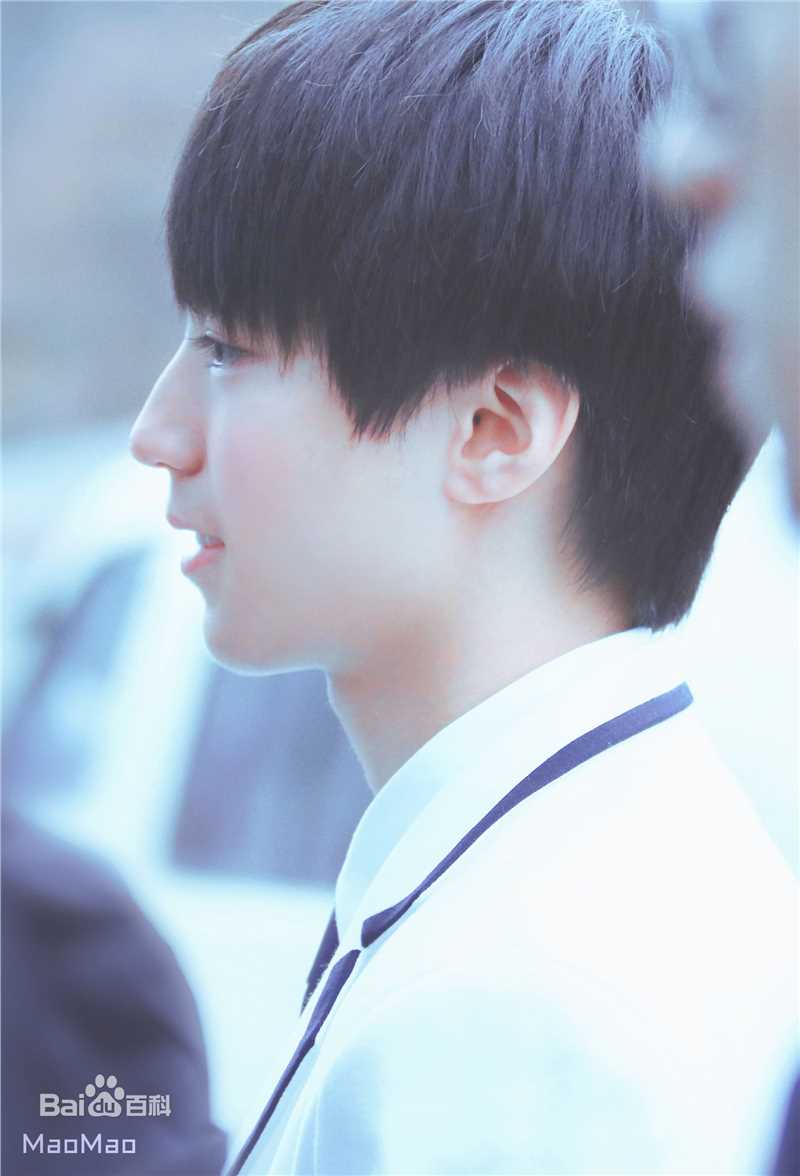 王俊凯(Karry)画报人生（一）图册