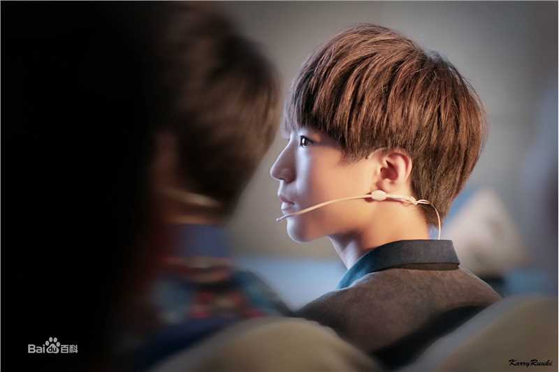 王俊凯(Karry)社会活动图片图集