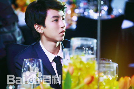 王俊凯(Karry)社会活动图片图集