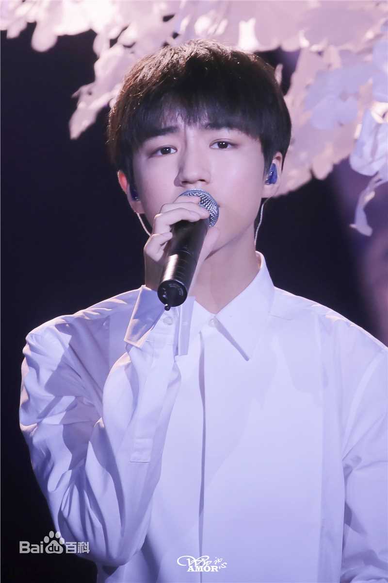 王俊凯(Karry)十七岁生日会壁纸壁纸