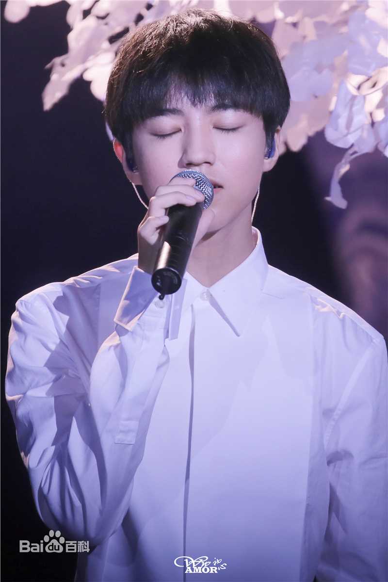 王俊凯(Karry)十七岁生日会壁纸壁纸