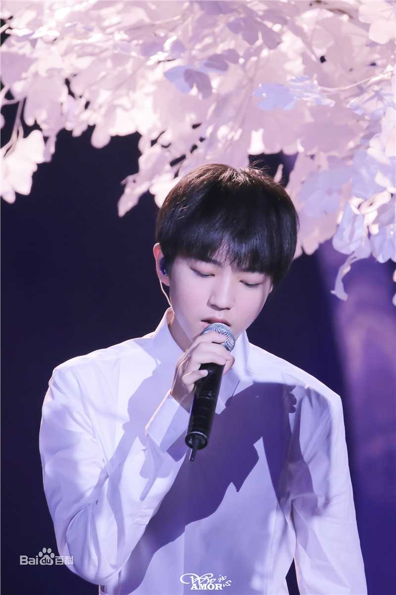 王俊凯(Karry)十七岁生日会壁纸壁纸