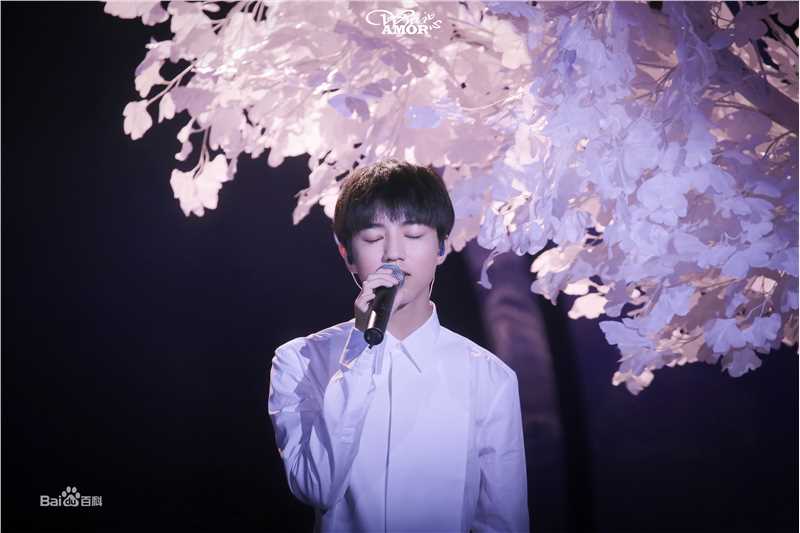 王俊凯(Karry)十七岁生日会壁纸壁纸