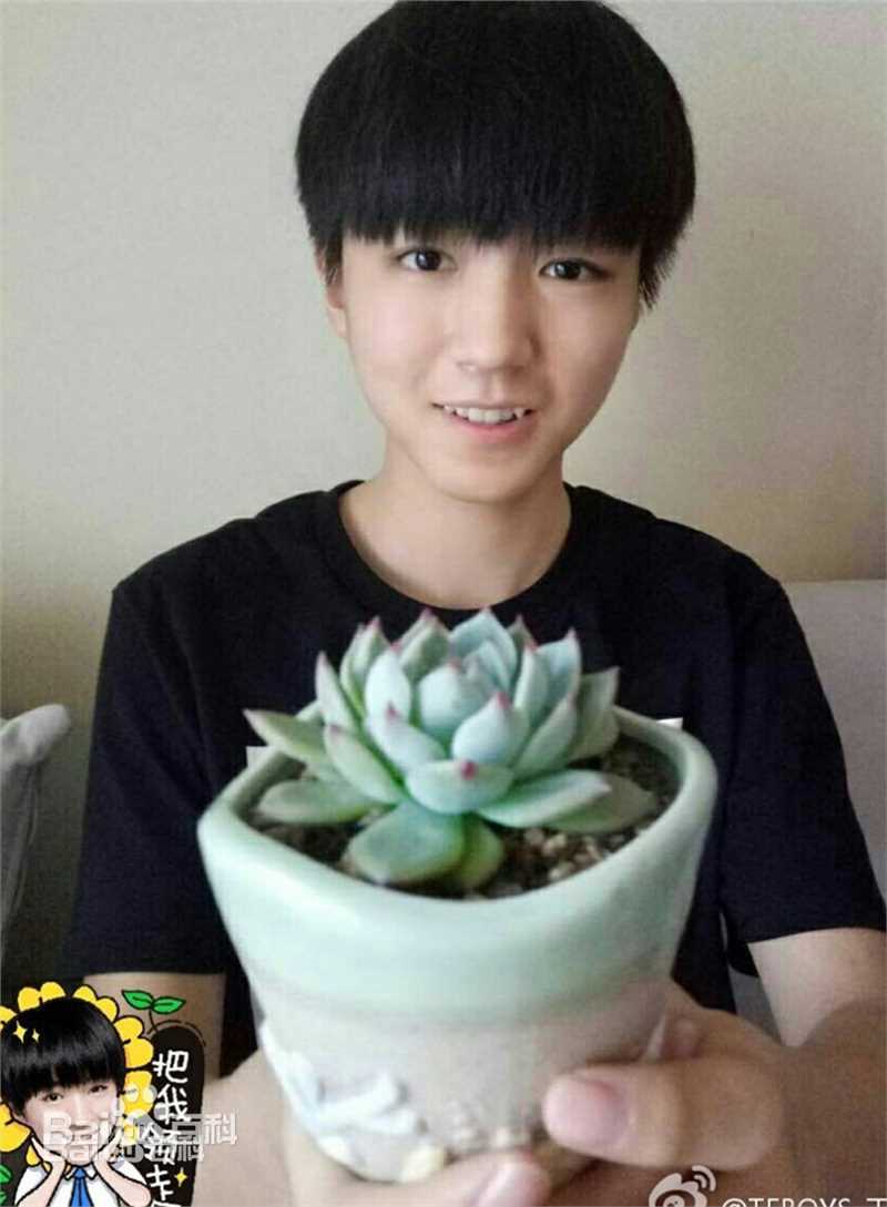 王俊凯(Karry)公益活动壁纸壁纸