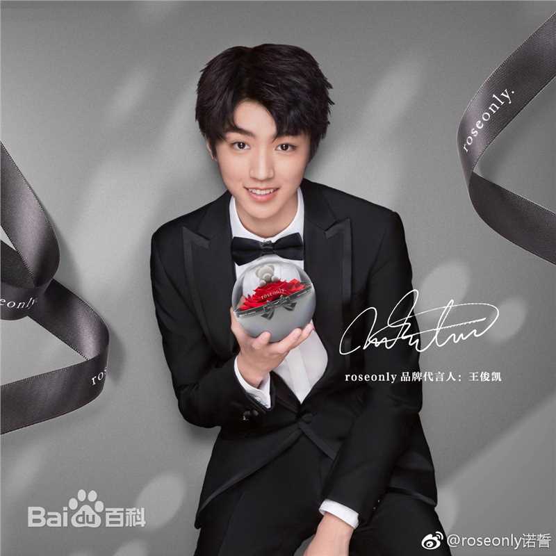 王俊凯(Karry)个人代言品牌合辑图片图集