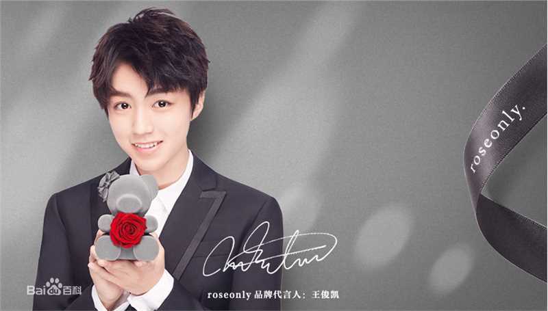 王俊凯(Karry)个人代言品牌合辑图片图集