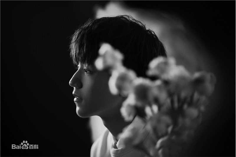 王俊凯(Karry)个人代言品牌合辑图片图集