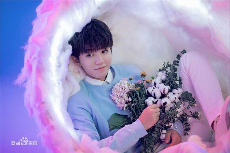 王俊凯(Karry)个人代言品牌合辑图片图集